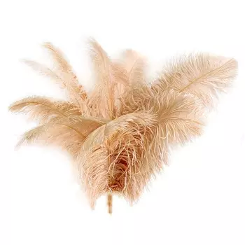 Набор перьев страуса 60-65 см Азалия кремовый