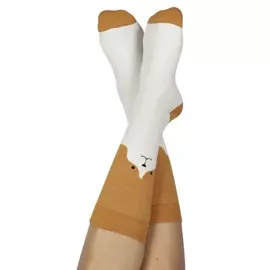 Носки Doiy Dog