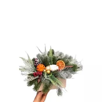 Новогодняя композиция Кашпо в деревянном ящике 25 см MayBlummy