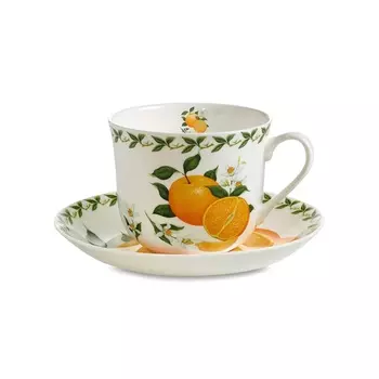 Пара чайная 480 мл Апельсин Maxwell &amp; Williams Фруктовый сад