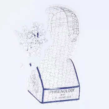 Пазл phrenology