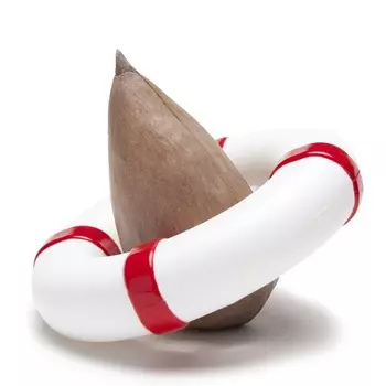 Проращиватель для авокадо Peleg Design Seed Guard