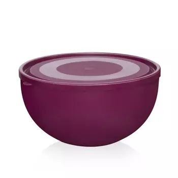 Салатница с крышкой 2,5 л Эльфпласт в ассортименте