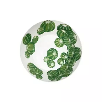 Салатник 21,5 см Taitu Cactus