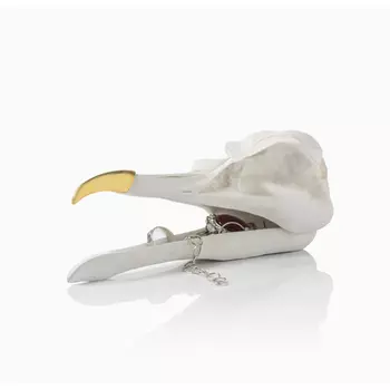 Шкатулка для украшений Bird Skull