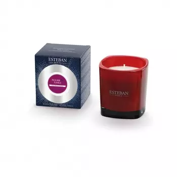 Свеча ароматическая 170 г Esteban Инжир и тонка