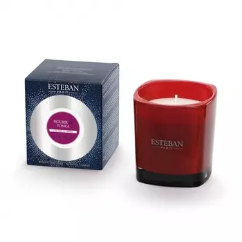 Свеча ароматическая 170 г Esteban Инжир и Тонка