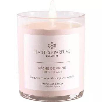 Свеча ароматическая 180 г Plantes et Parfums Солнечный персик