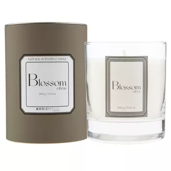 Свеча ароматическая 40 ч Ambientair Sublime Цитрусовый цвет