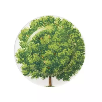 Тарелка 16 см Taitu Freedom Wood №1