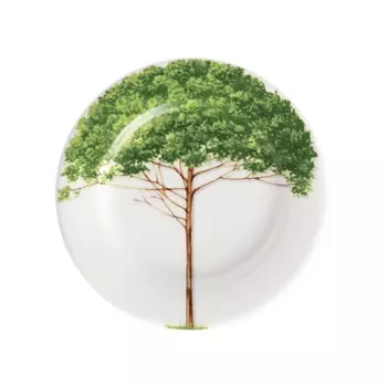 Тарелка 16 см Taitu Freedom Wood №2