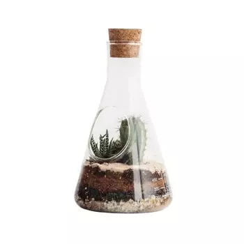 Террариум Suck UK Chemistry