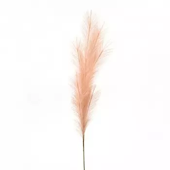 Трава пампасная декоративная 116 см Азалия пыльно-розовый