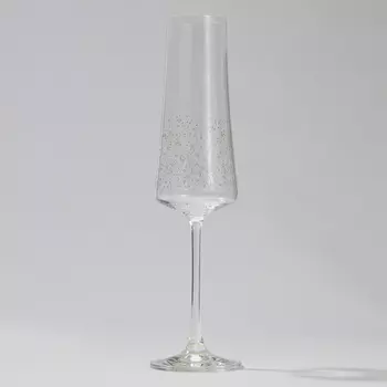Бокал для шампанского Universe