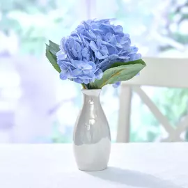 Букет Lecce, голубой