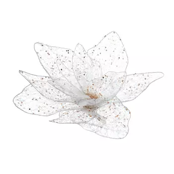 Цветок Calabro