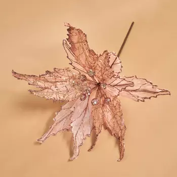 Цветок Casazza