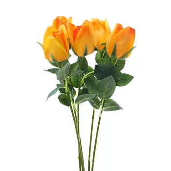 Цветок Foscolo