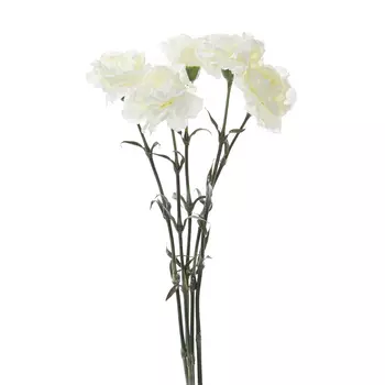 Цветок Garofano