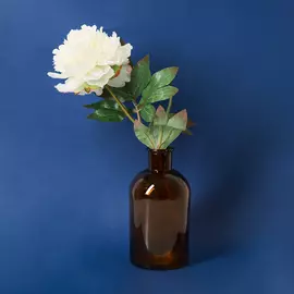 Цветок Genova, белый