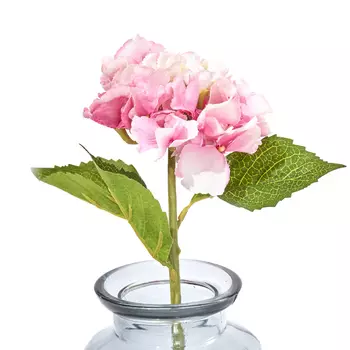 Цветок Giardino