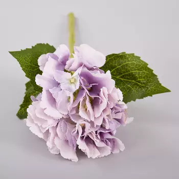 Цветок Giardino