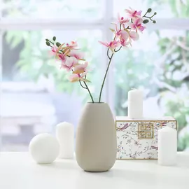 Цветок Mattinata