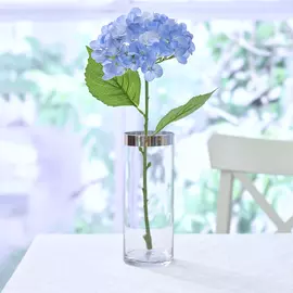 Цветок Messina, голубой