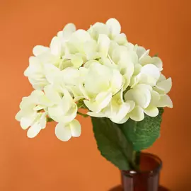 Цветок Messina, желтый