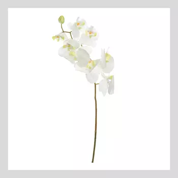 Цветок Orchid Ware