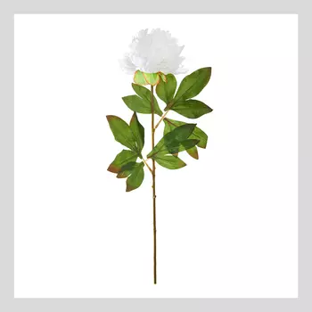 Цветок Peony Plush