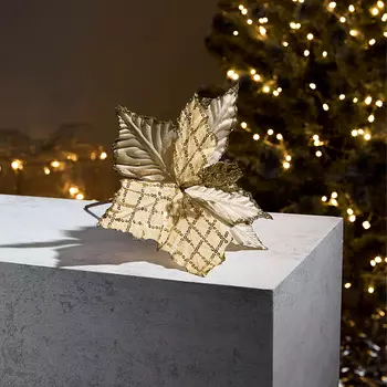 Цветок Poinsettia I