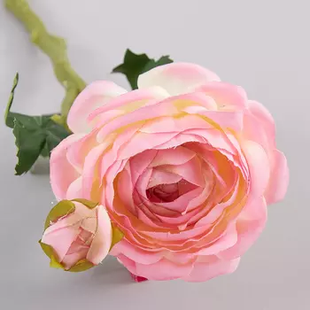 Цветок Ranunculus