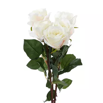 Цветок Raselli