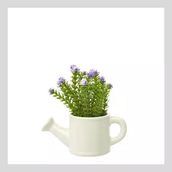 Цветок в горшке Azurika