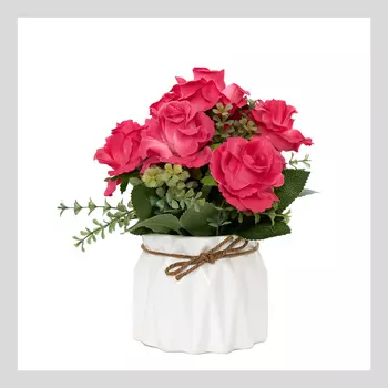 Цветок в горшке Rose Lee