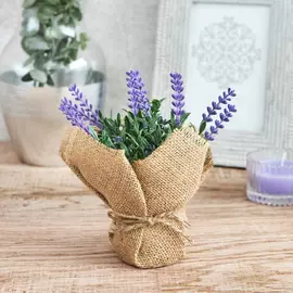 Цветок Uria II