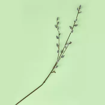 Декоративное украшение Willow