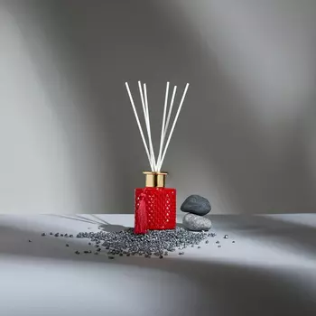 Диффузор Berries festival 100 мл