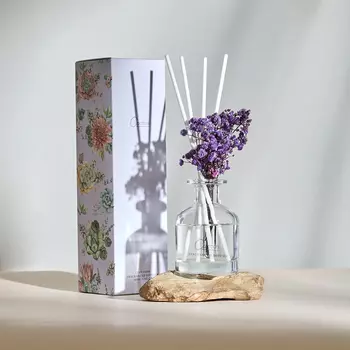 Диффузор Cactus 100 мл