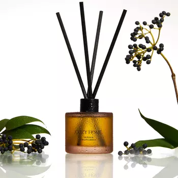 Диффузор Черная смородина 50 мл