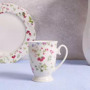 Кружка Raspberries