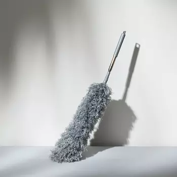 Метелка Paringianu