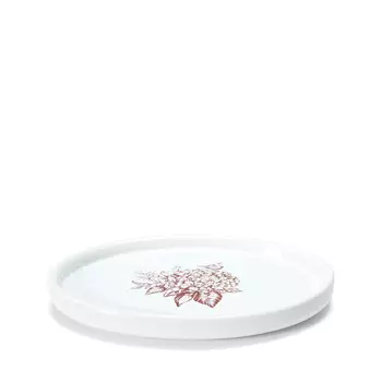 Мыльница Anges