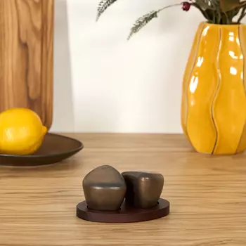 Набор для специй Bronzo