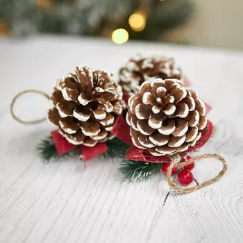 Набор подвесных декораций 3 шт. Pinecone