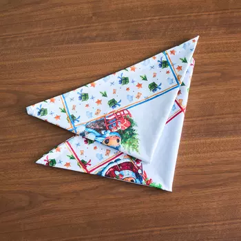 Набор салфеток Drakosha