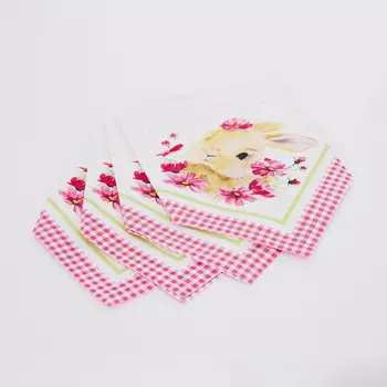 Набор салфеток Pasqua