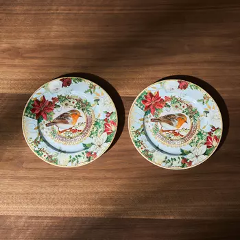 Набор тарелок Сhristmas bird