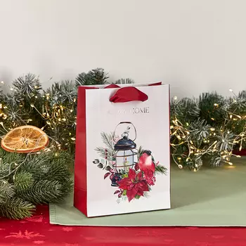 Пакет подарочный Снегирь 15х7х21